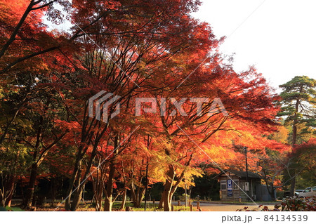 再度公園（ふたたびこうえん） 日本の歴史公園100選など【神戸市北区】 84134539