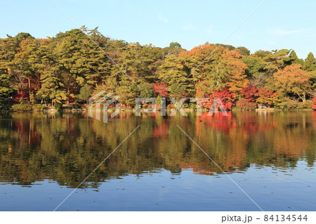 再度公園（ふたたびこうえん） 日本の歴史公園100選など【神戸市北区】 84134544