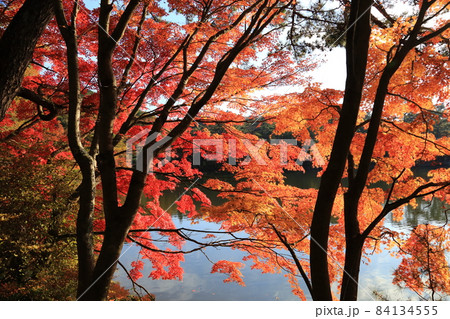 再度公園（ふたたびこうえん） 日本の歴史公園100選など【神戸市北区】 84134555