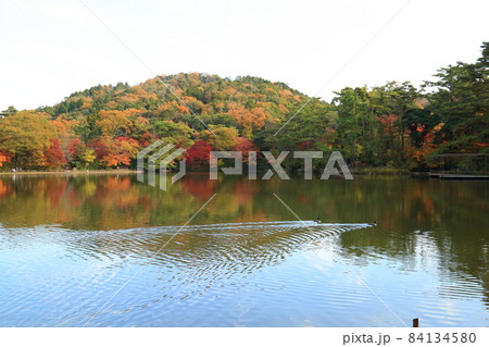 再度公園（ふたたびこうえん） 日本の歴史公園100選など【神戸市北区】 84134580