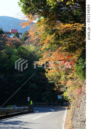 神奈川県足柄下郡箱根町の強羅駅小涌谷駅間の国道1号線から臨む紅葉の風景 神奈川県足柄下郡箱根町の強羅駅小涌谷駅間の国道1号線から臨む紅葉の風景 84134684