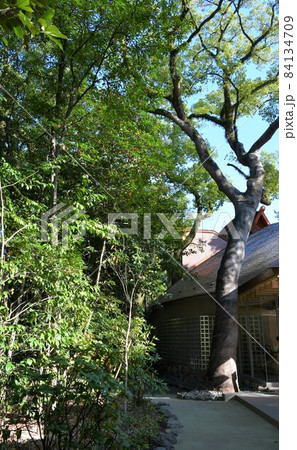熱田神宮 あつたの杜 祈祷殿 熱田神宮 あつたの杜 祈祷殿 84134709