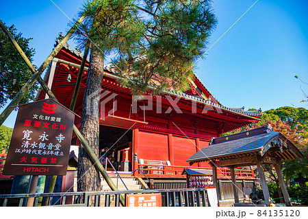東京 上野恩賜公園 寛永寺 清水観音堂 東京 上野恩賜公園 寛永寺 清水観音堂 84135120