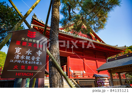 東京　上野恩賜公園　寛永寺　清水観音堂 84135121