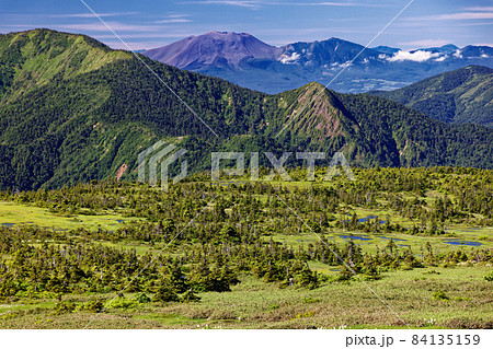 夏の苗場山山上湿原と浅間山の眺め 夏の苗場山山上湿原と浅間山の眺め 84135159