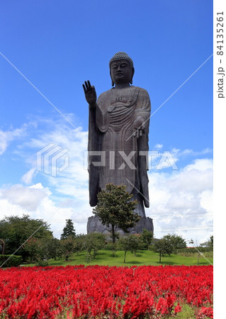 牛久大仏 牛久大仏 84135261