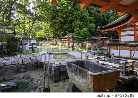 宮島　厳島神社　境内　広島県廿日市市 84135588