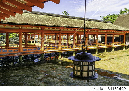 宮島　厳島神社　廻廊　広島県廿日市市 84135600
