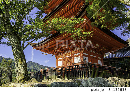 宮島　厳島神社　五重塔　広島県廿日市市 84135653