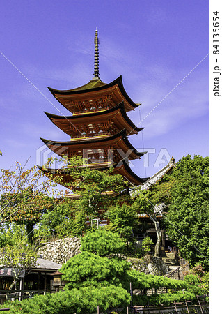 宮島　厳島神社　五重塔　広島県廿日市市 84135654