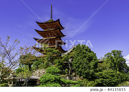 宮島 厳島神社 五重塔 広島県廿日市市 宮島 厳島神社 五重塔 広島県廿日市市 84135655