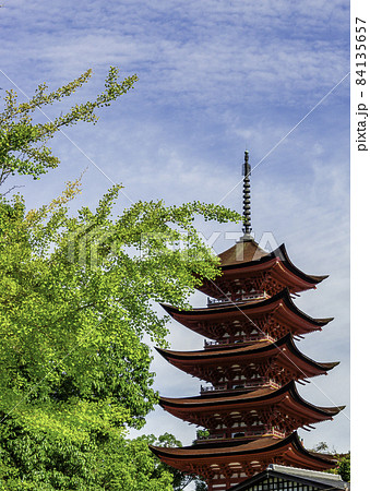 宮島 厳島神社 五重塔 広島県廿日市市 宮島 厳島神社 五重塔 広島県廿日市市 84135657