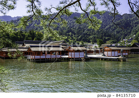 宮島　厳島神社　社殿　広島県廿日市市 84135710