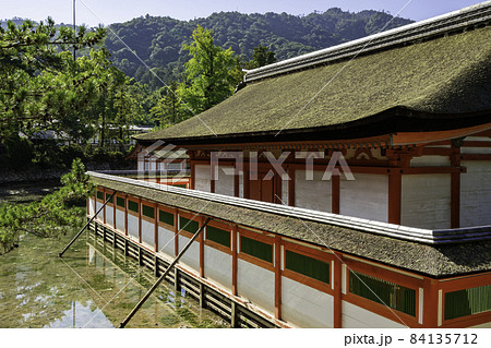 宮島　厳島神社　社殿　広島県廿日市市 84135712