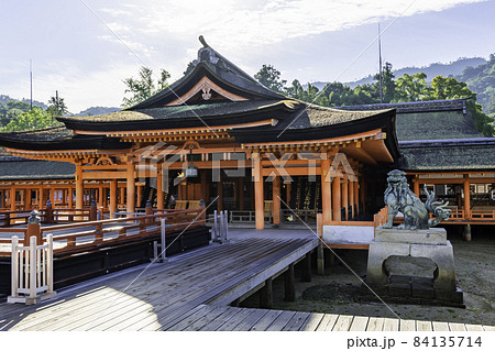 宮島　厳島神社　社殿　広島県廿日市市 84135714
