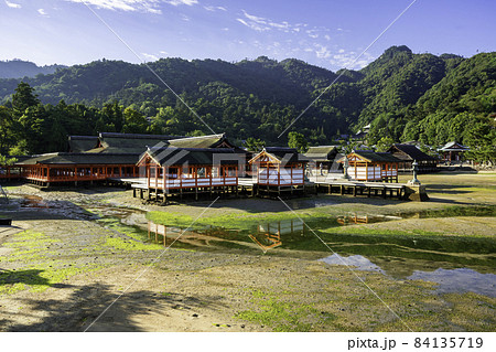 宮島　厳島神社　社殿　広島県廿日市市 84135719