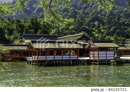 宮島　厳島神社　社殿　広島県廿日市市 84135721