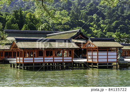 宮島 厳島神社 社殿 広島県廿日市市 宮島 厳島神社 社殿 広島県廿日市市 84135722