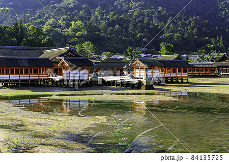 宮島　厳島神社　社殿　広島県廿日市市 84135725