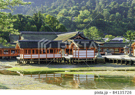 宮島　厳島神社　社殿　広島県廿日市市 84135726