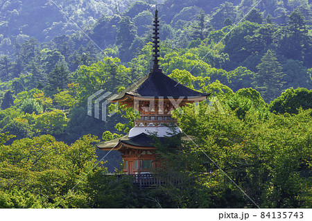 宮島　厳島神社　多宝塔　広島県廿日市市 84135743