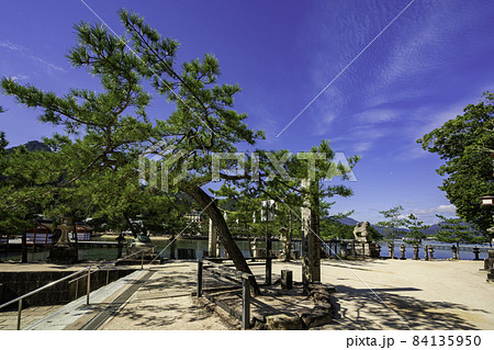 宮島　厳島神社　入口　広島県廿日市市 84135950