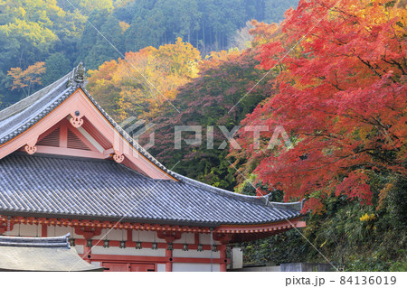 壺阪寺　紅葉 84136019