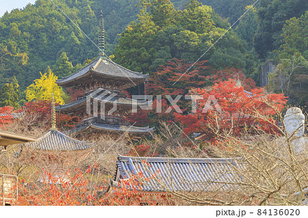 壺阪寺　紅葉 84136020