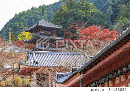 壺阪寺　紅葉 84136022