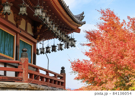 壺阪寺 紅葉 壺阪寺 紅葉 84136054