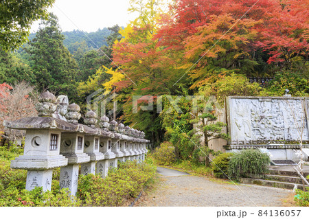壺阪寺 紅葉 壺阪寺 紅葉 84136057