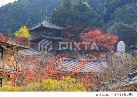 壺阪寺 紅葉 壺阪寺 紅葉 84136090
