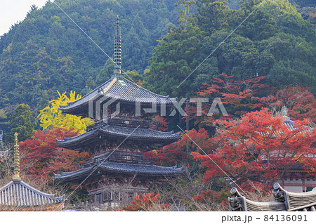 壺阪寺　紅葉 84136091