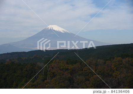 三島スカイウォーク 84136406