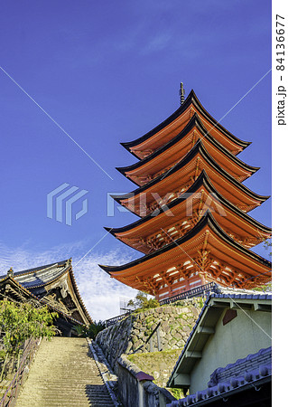 宮島 千畳閣と五重塔 広島県廿日市市 宮島 千畳閣と五重塔 広島県廿日市市 84136677