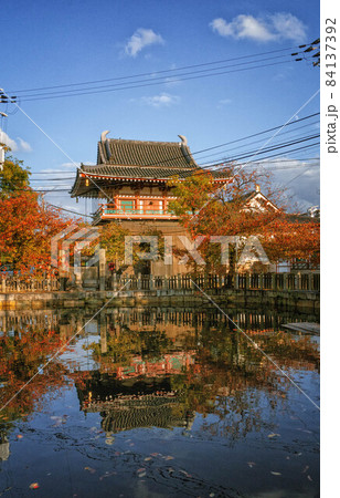 秋の大阪、四天王寺の北鐘堂 (黄鐘楼) と丸池 秋の大阪、四天王寺の北鐘堂 (黄鐘楼) と丸池 84137392