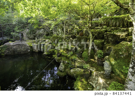 宮島 大聖院 境内 広島県廿日市市 宮島 大聖院 境内 広島県廿日市市 84137441