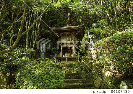 宮島　大聖院　阿弥陀堂　広島県廿日市市 84137459