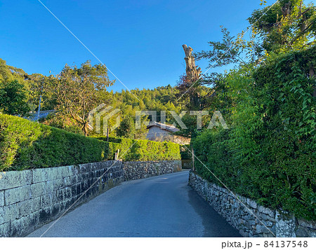 鹿児島・知覧武家屋敷 84137548