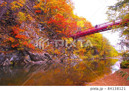 晩秋に染まる二見吊り橋 84138121