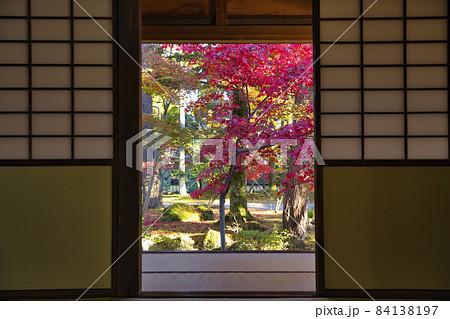 新発田市　清水園　紅葉の時期 84138197