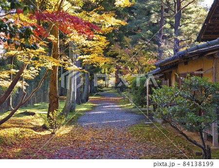 新発田市　清水園　紅葉の時期 84138199