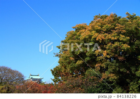 名古屋市、秋の名古屋城の風景 84138226