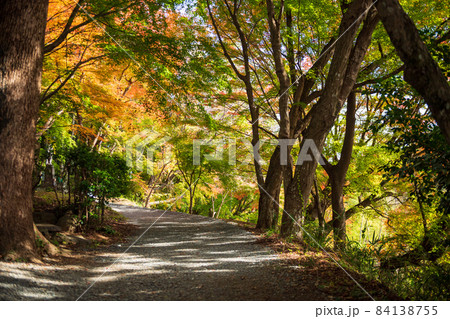 秋の晴天に紅葉が色ずく山と地蔵さんの風景 84138755