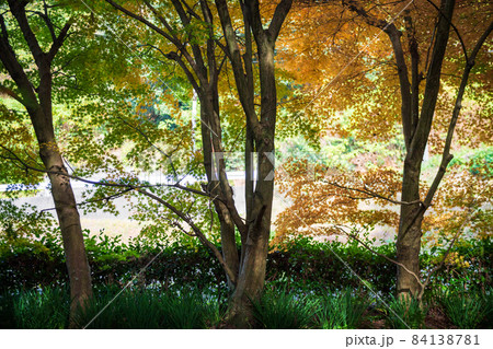 秋の晴天に紅葉が色ずく山と地蔵さんの風景 84138781