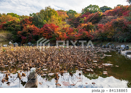 秋の晴天に紅葉が色ずく山と地蔵さんの風景 秋の晴天に紅葉が色ずく山と地蔵さんの風景 84138865