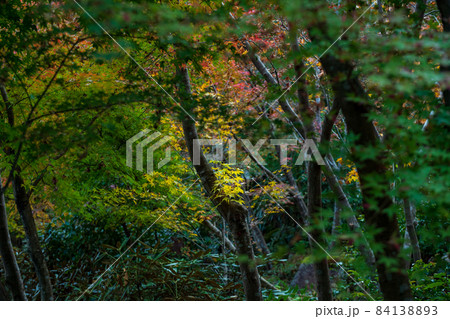 秋の晴天に紅葉が色ずく山と地蔵さんの風景 84138893