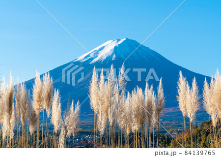 ススキと富士山 ススキと富士山 84139765