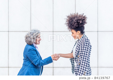 two businesswomen closing a deal by shaking hands two businesswomen closing a deal by shaking hands 84139767