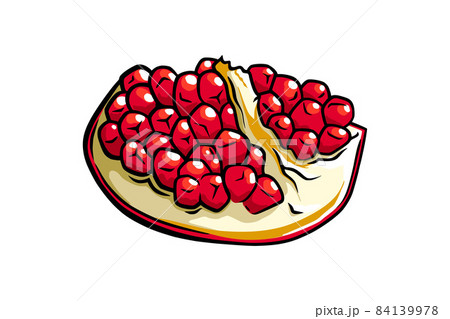 Pomegranate fruit with seeds. Colored exotic pomegranate fruit. Vector illustration 84139978